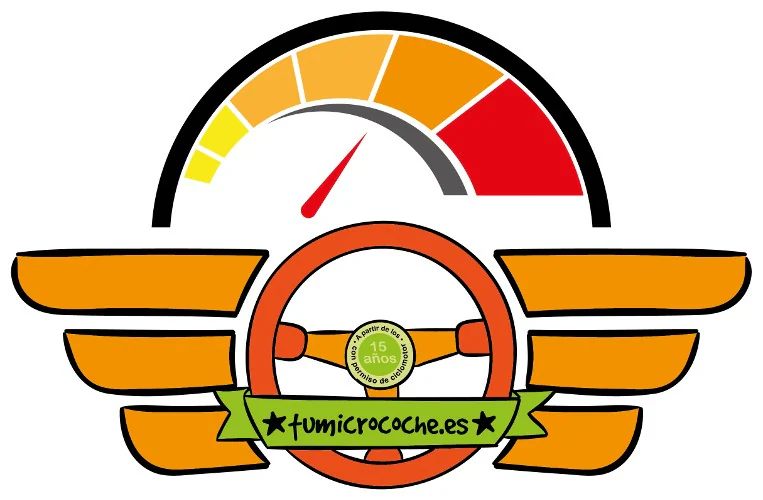 Logo TU MICROCOCHE.ES