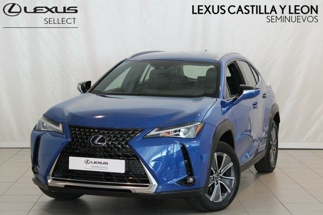 LEXUS UX Business