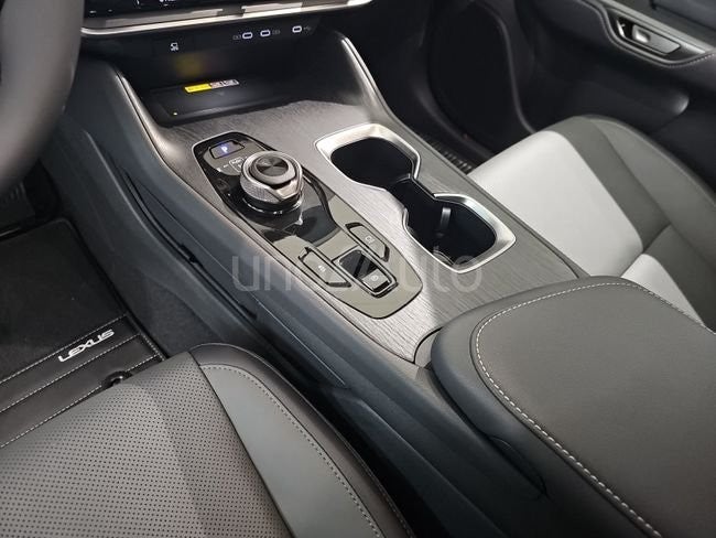 RZ 350e e-Premium Efficiency FWD