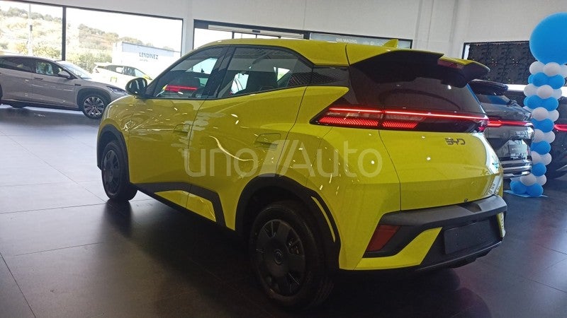 Dolphin Surf Active 175kW