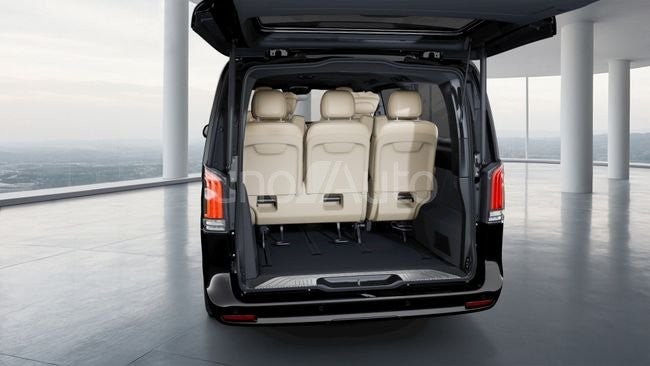 300 Exclusive Extralargo