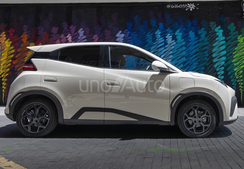 Dolphin Surf Active 175kW