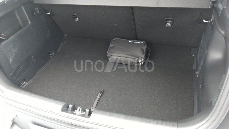 Stonic 1.2 DPi Concept